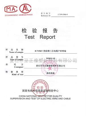 Test report